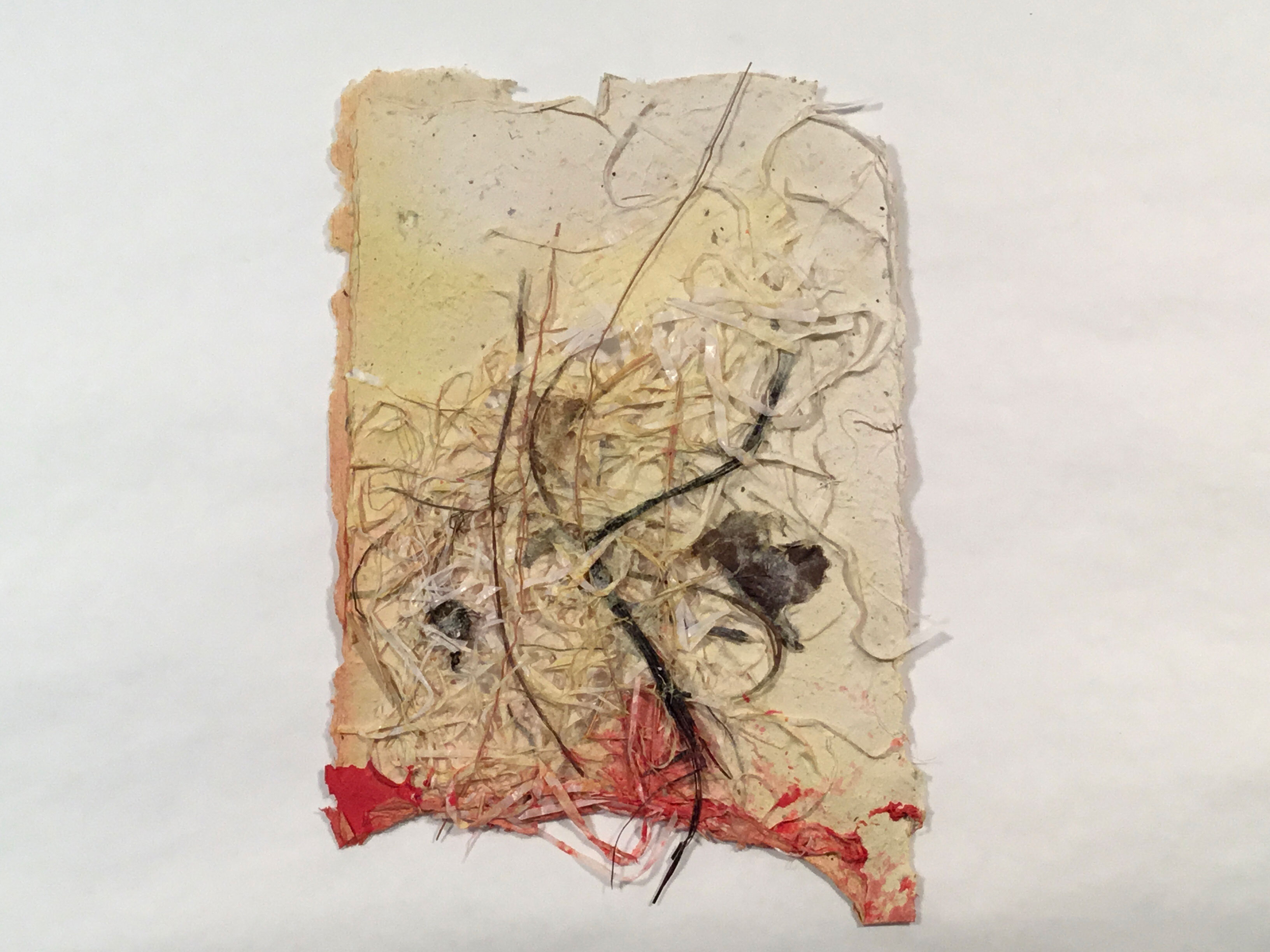 A light yellow and beige piece of paper with deckled edges and scraps of hair, thread, and plastic strings scattered throughout the page. The bottom edge is dyed red.