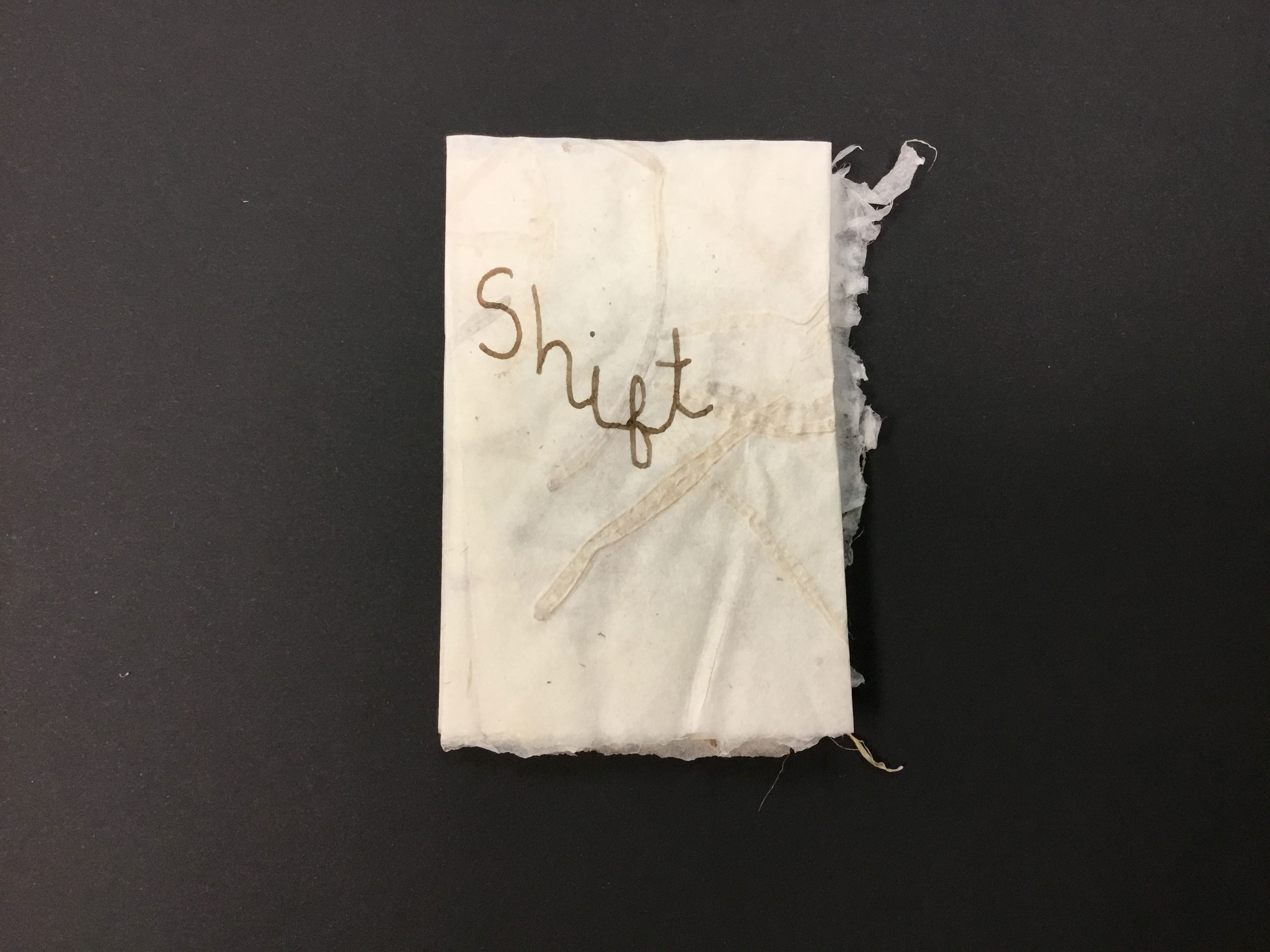 This piece is a small, handmade paper booklet with the word “Shift” written in cursive lettering on the front. This piece is made from abaca with Roja kale and seed pod inclusions, and each page has different linear sketches painted in brown ink.