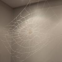 "Fragile Hope" takes the form of a paper spider web created from finely twisted kami-ito thread made from kozo paper. It is particularly beautiful when the light catches it-- just the way light plays with real webs.   