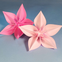 Origami Carambola