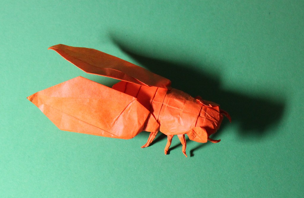 Cicade origami by Robert Lang. The piece is folded from orange paper resting on a green background