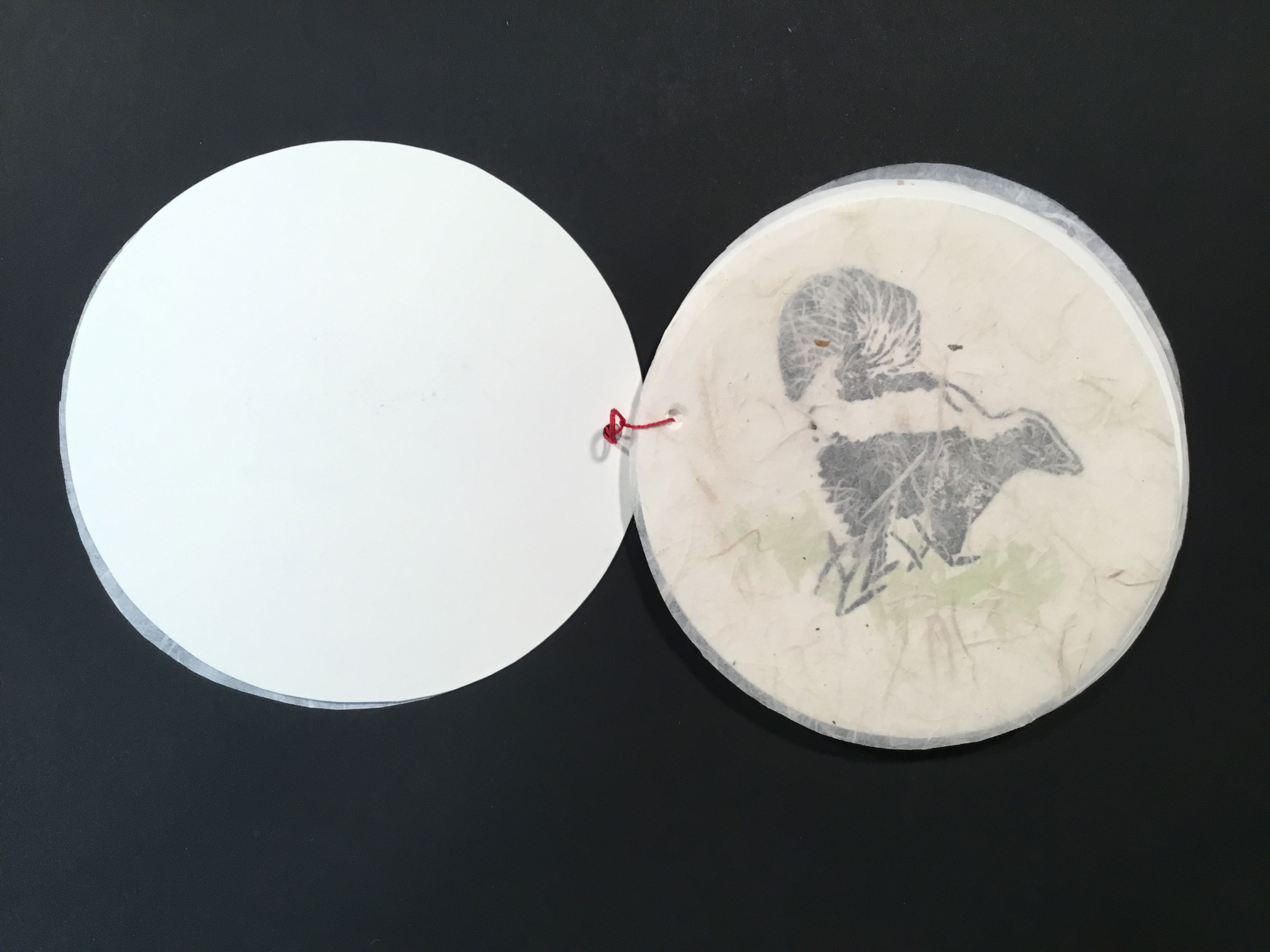 A thin, circular sheet of translucent paper with floral and plant-like embeds covers a painted image of a skunk in a patch of grass.