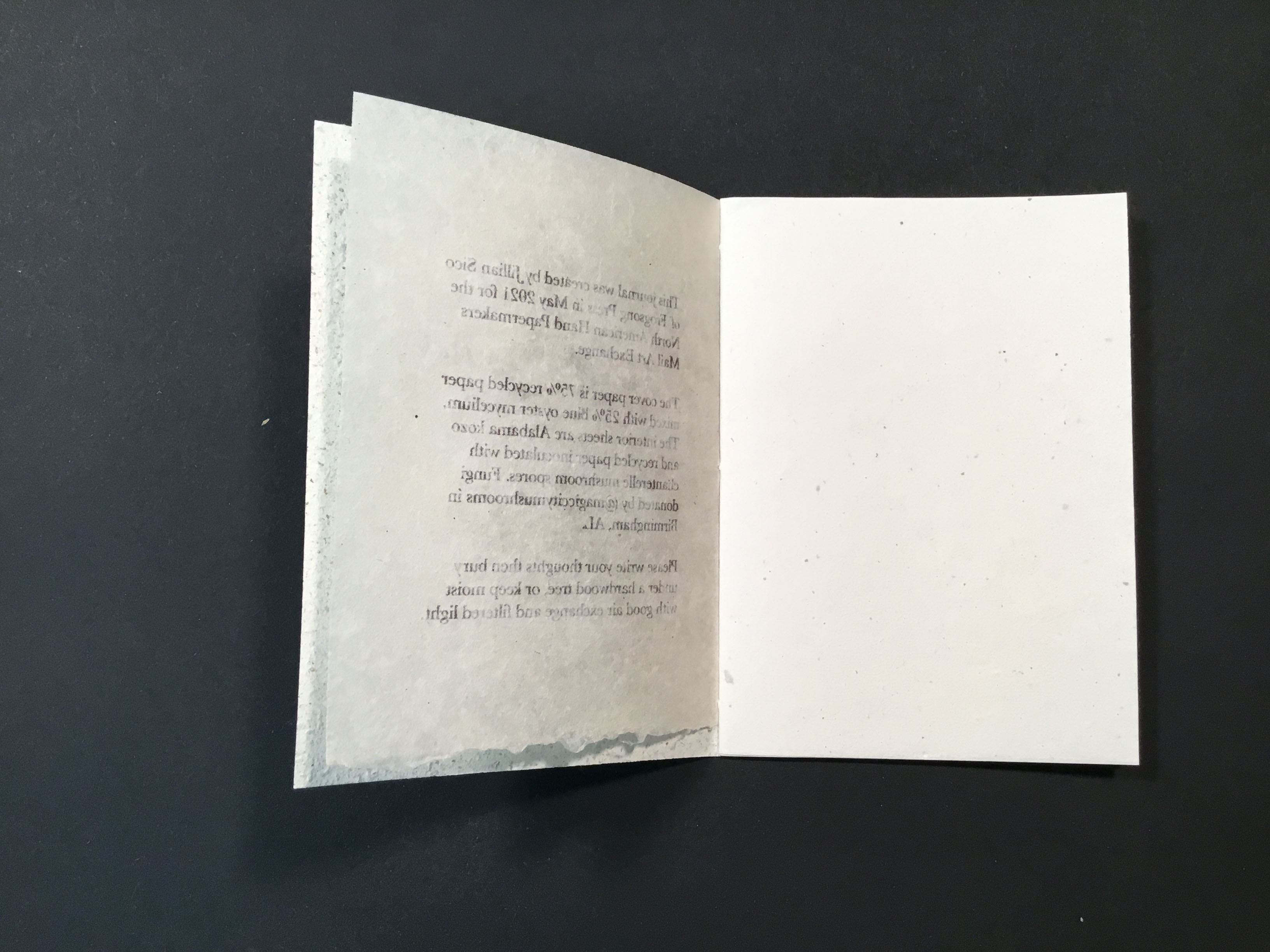 A journal with beige covers made of recycled paper and blue oyster mycelium scattered throughout, resembling a sedimentary rock. The cover has a root inclusion in the center, and the interior pages are off-white and are made from Alabama kozo and recycled paper with chanterelle mushroom spores.