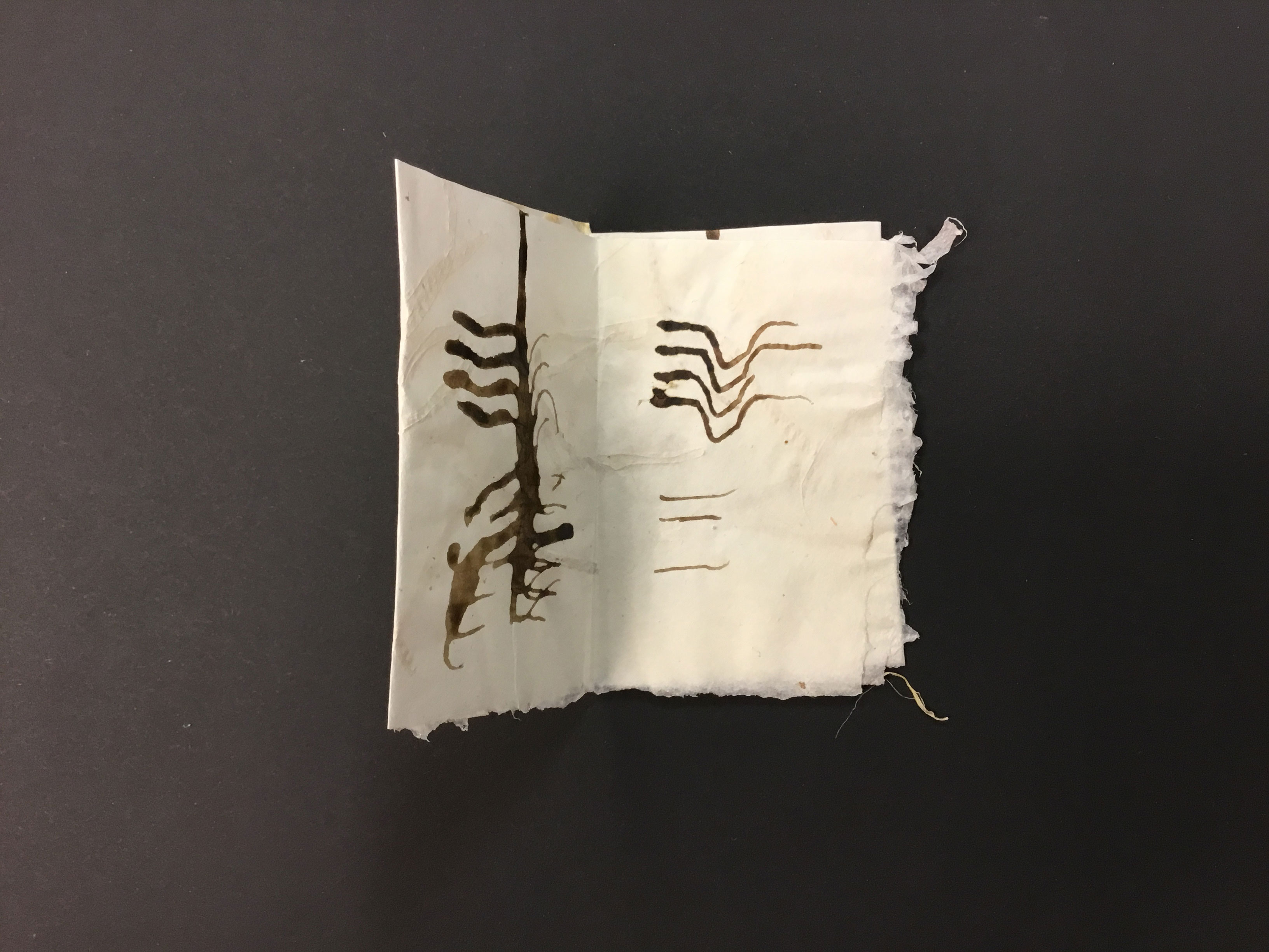 This piece is a small, handmade paper booklet with the word “Shift” written in cursive lettering on the front. This piece is made from abaca with Roja kale and seed pod inclusions, and each page has different linear sketches painted in brown ink.