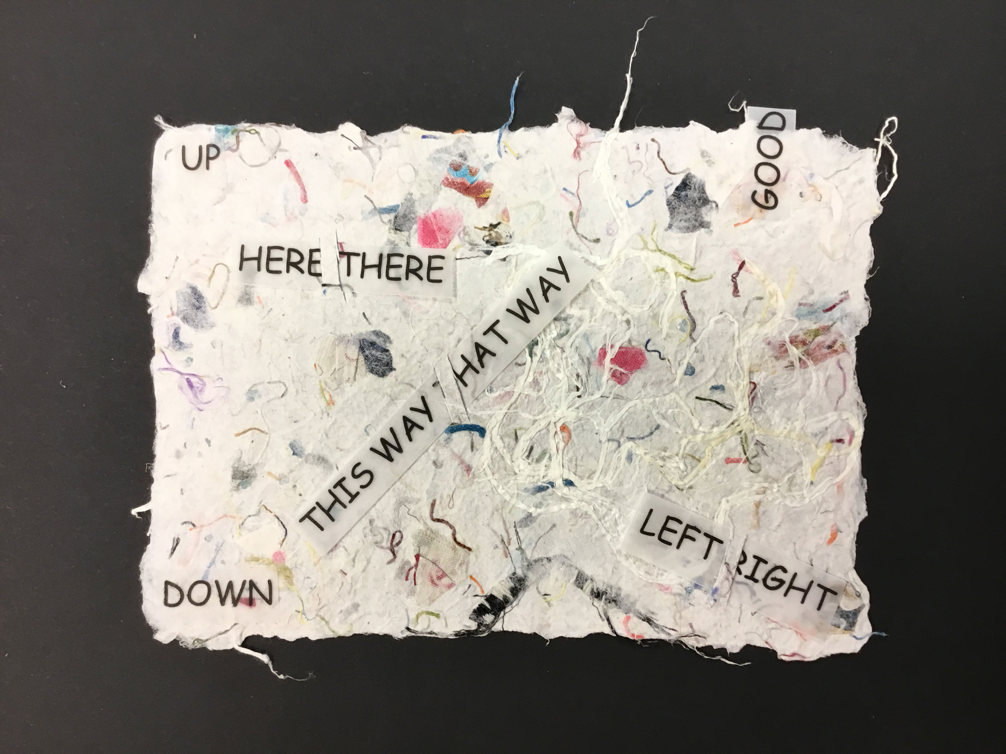 This piece, entitled “Kitchen Sink Paper”, is made of abaca and beaten kozo with colored thread inclusions and printed words like “This Way That Way” scattered throughout.