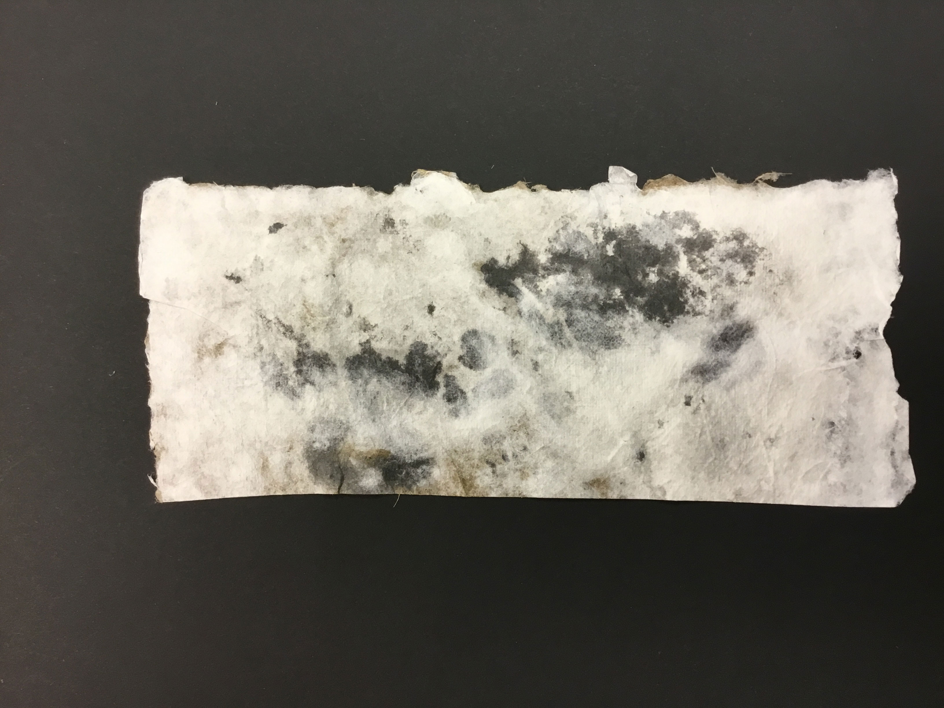 This piece, entitled “Makeshift (On Getting By)”, is a horizontally-oriented rectangular piece of handmade paper made from pulp paint, recycled bedsheet, and garden waste. The piece is black and white, with a crater-like landscape painted on the front. The back of the piece is brown with straw-like pulp.