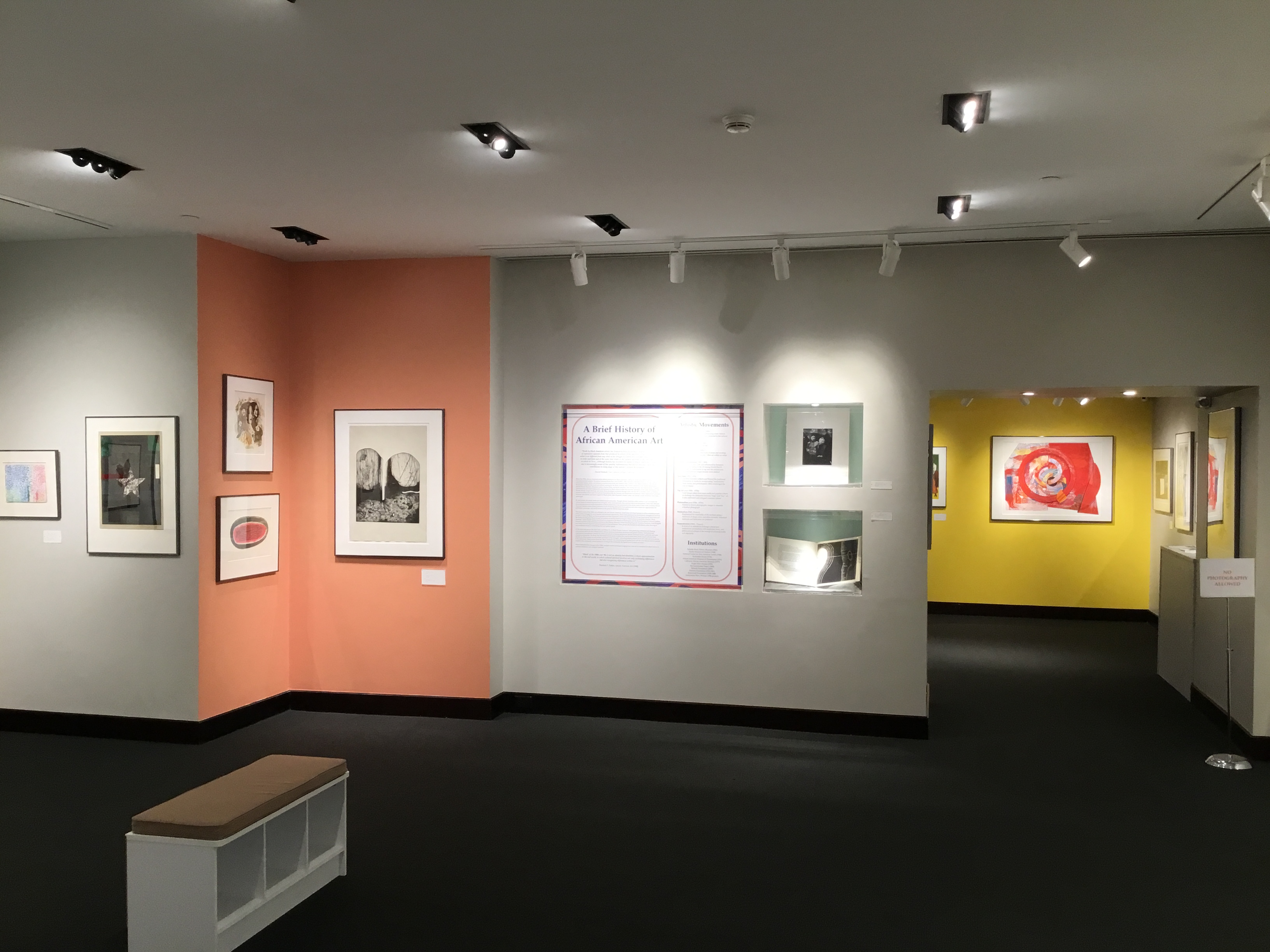 An image of the back wall of the main gallery with a large placard explaining the history of African American art, several pieces from the exhibit, and an entrance to the second room of the gallery.