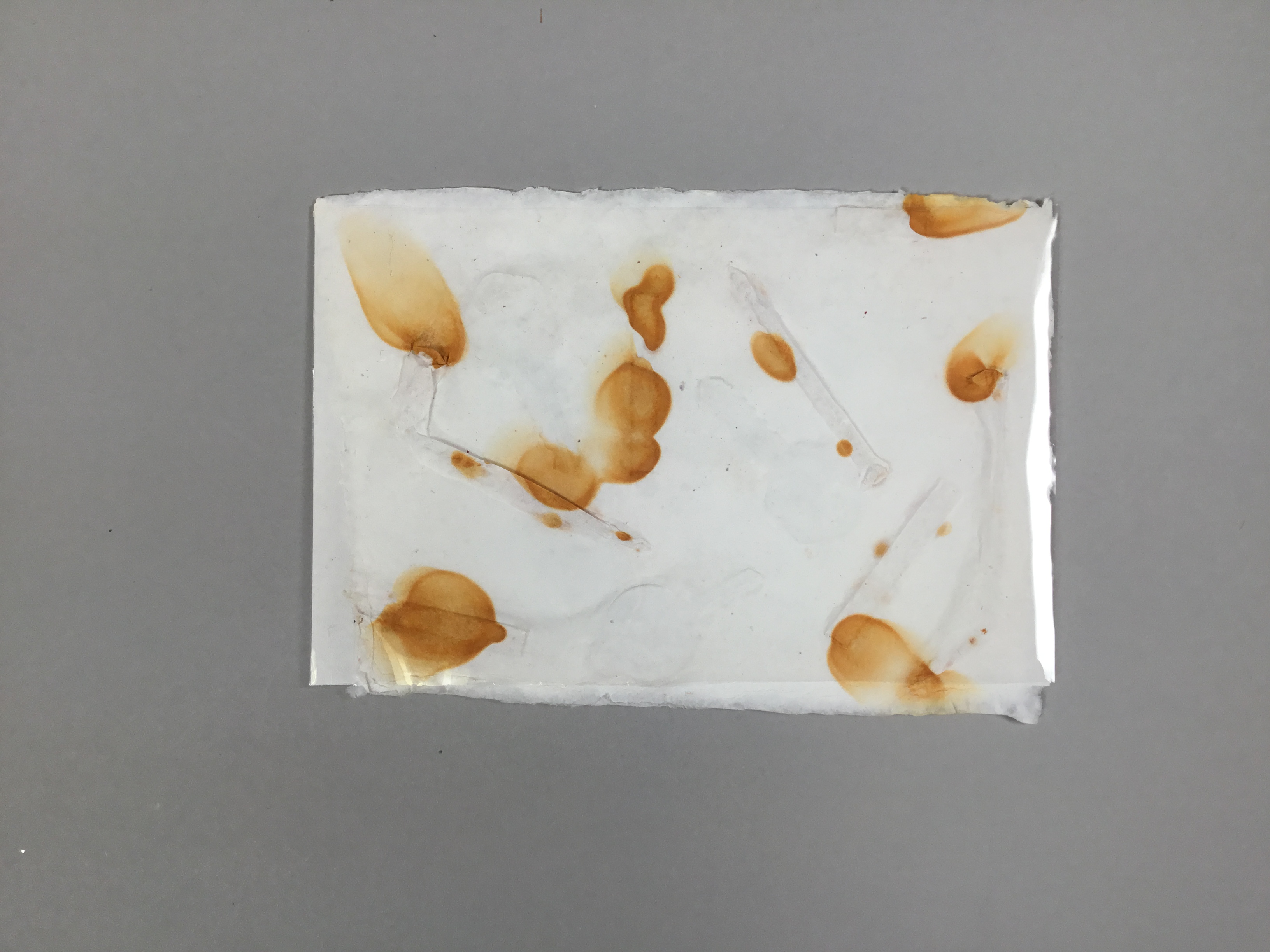 A square, rectangular piece of white-grey paper with burnt umber colored stains splattered across the piece.