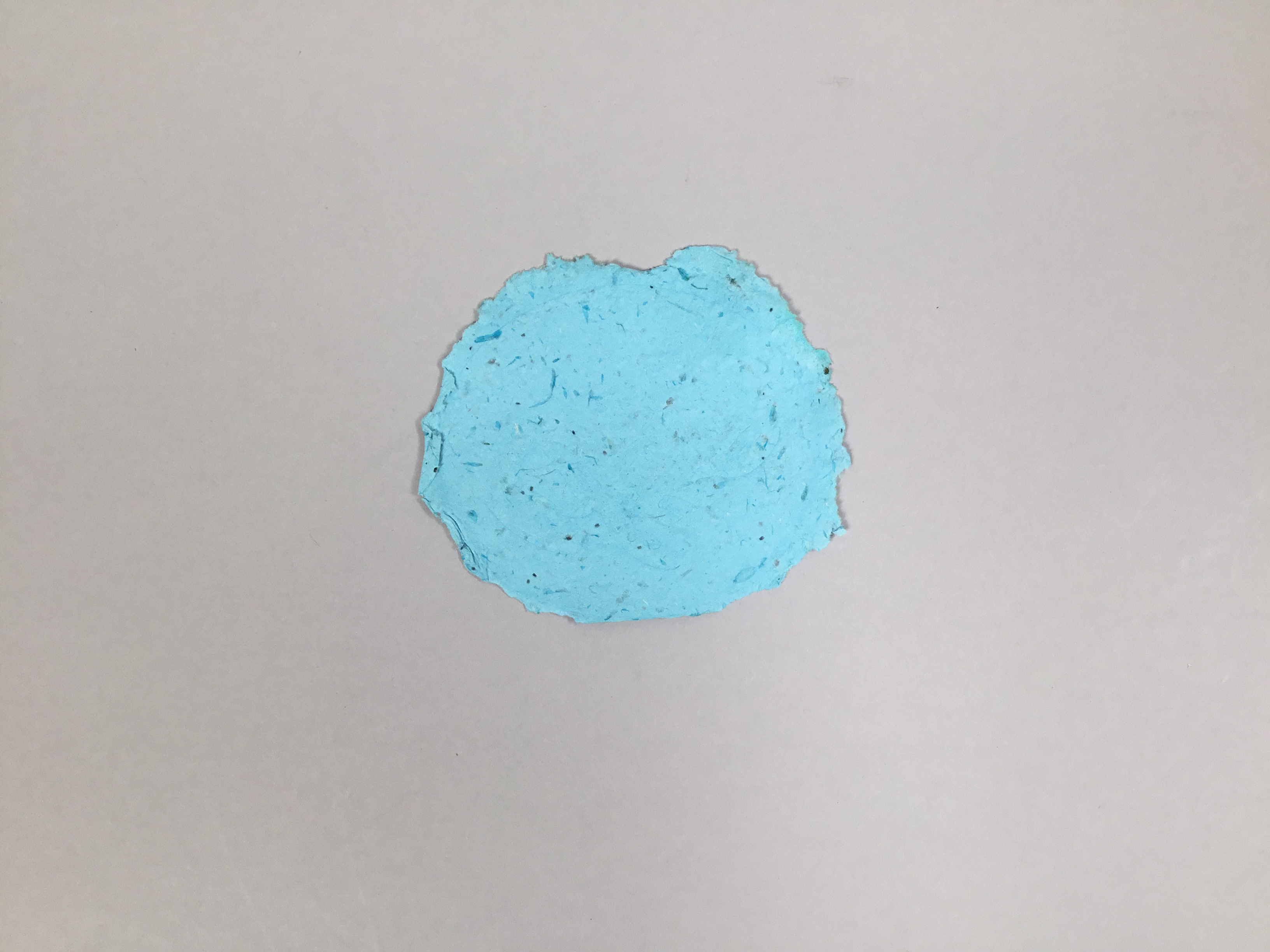This piece is an ovular piece of light blue handmade paper with floral infusions.