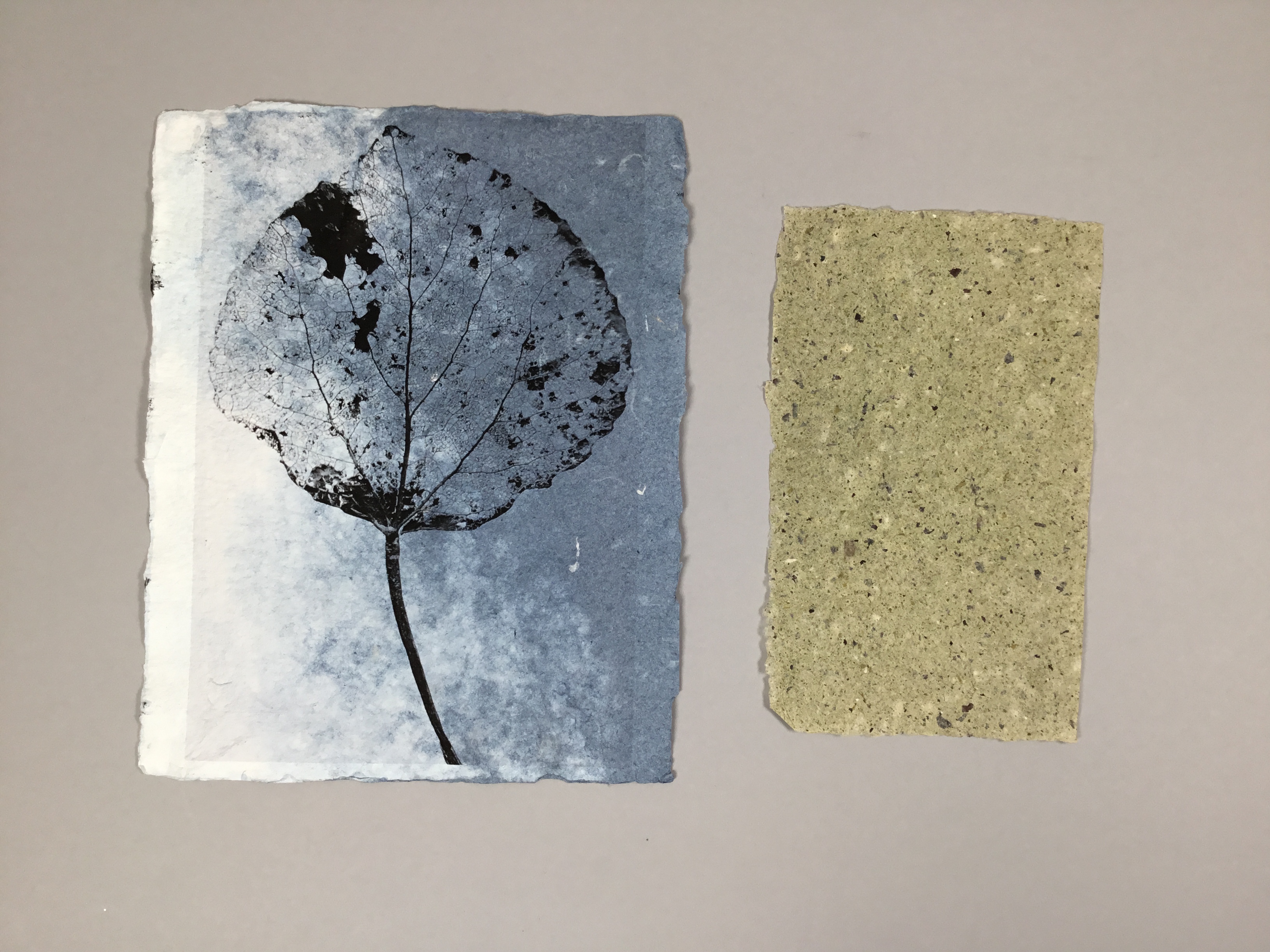 This piece is comprised of two separate sheets of paper. The sheet on the left is larger and has a gradient background that marbles from white to blue. The veins and anatomy of a leaf is printed in black on the front. The sheet on the right is a smaller, speckled, mustard-beige piece.