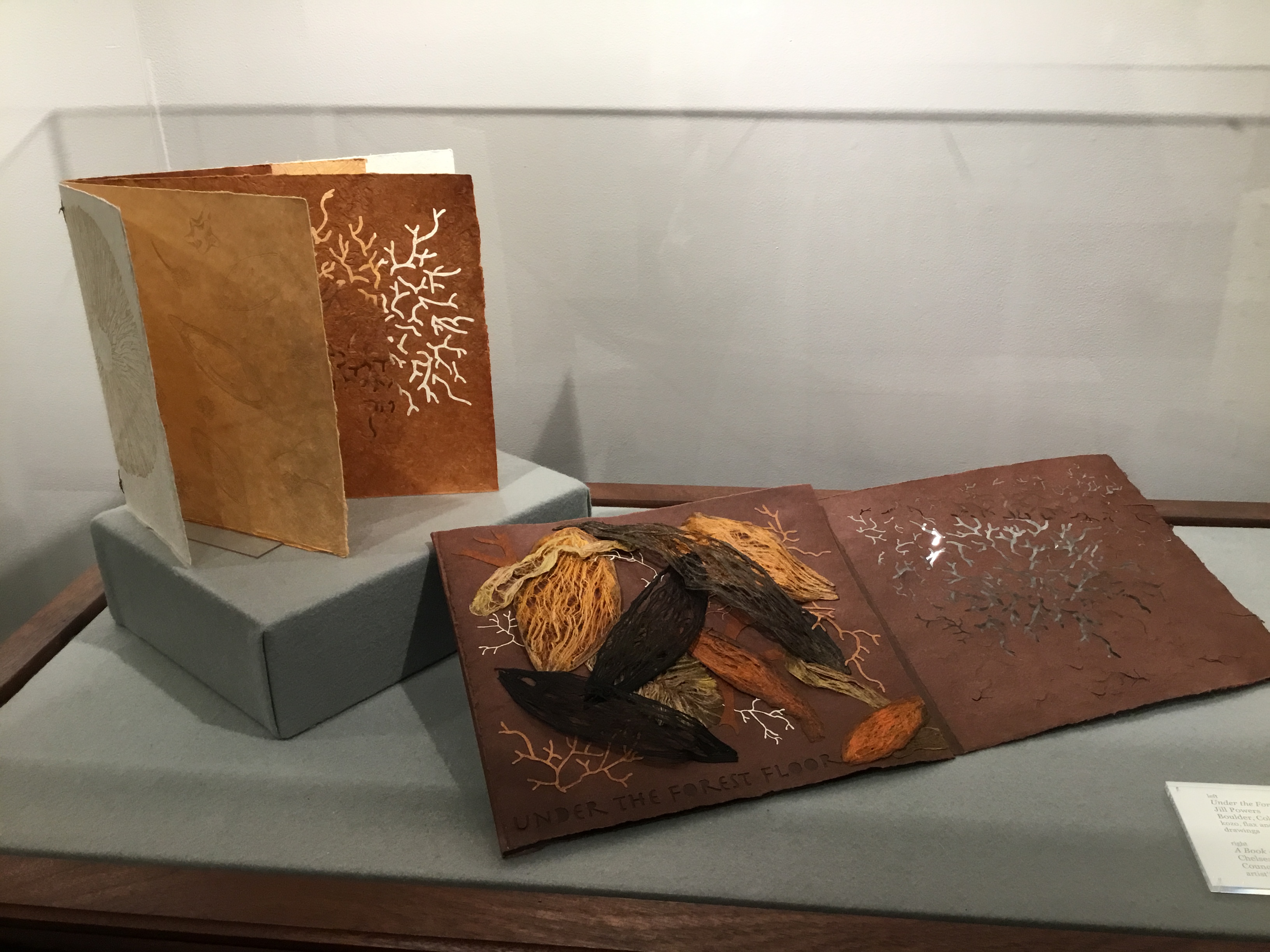 Closeup of display case in the back gallery. On the left is a small booklet with white, tan and brown pages with mushroom themed cutouts, on a gray pedestal. Next to it is its cover wrapper, a deep brown page with leaf shaped collages on one side and dendritic cutout on the other. 