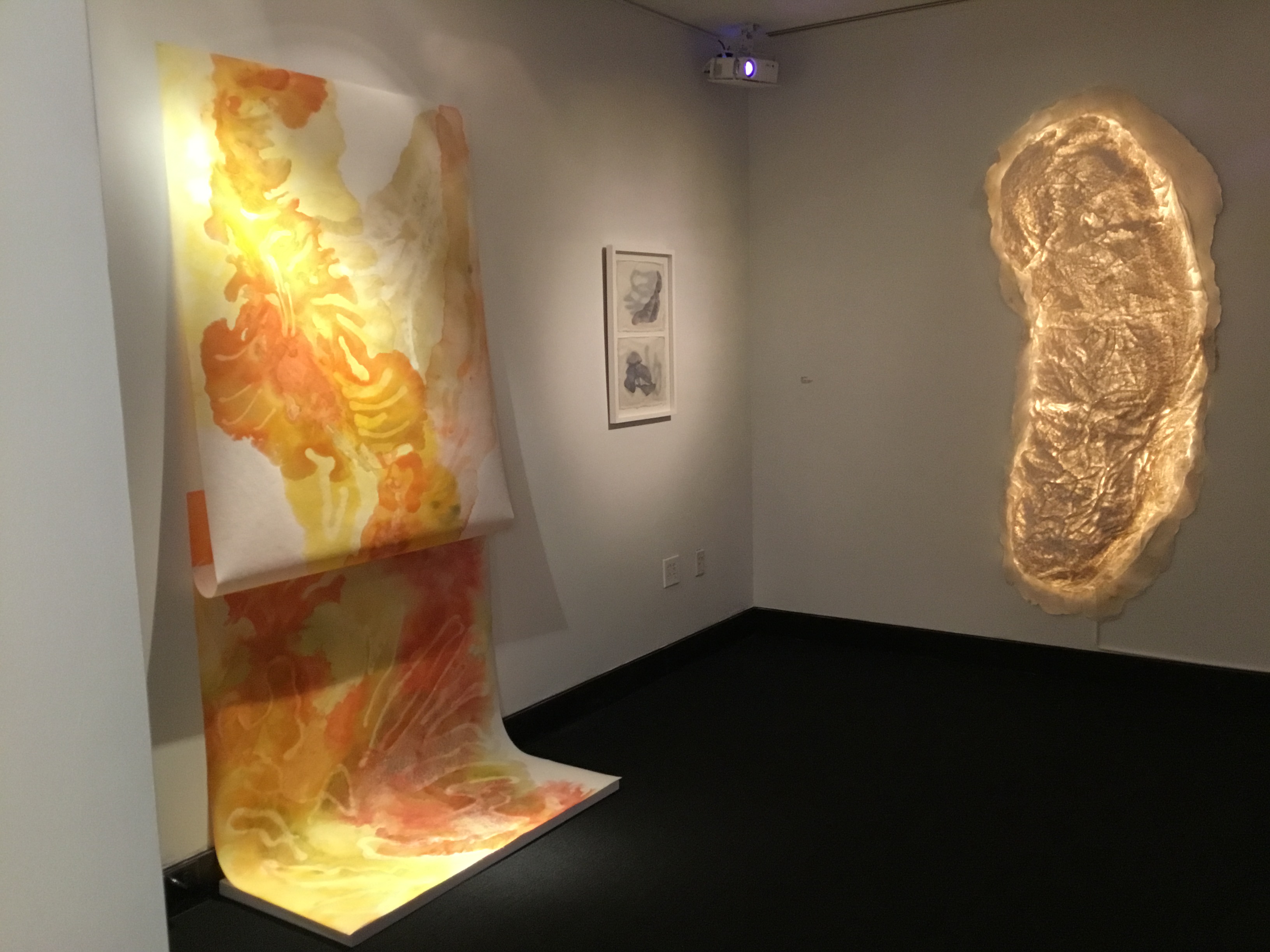 Gallery view of Sara Garden Armstrong's work. On the left is Structured Mapping 5, a large scale painting featuring organic orange, yellow and green forms on a white background. On the right, Figure Form 7, a large, white, bean-shaped textured abaca sculpture, illuminated from behind. 