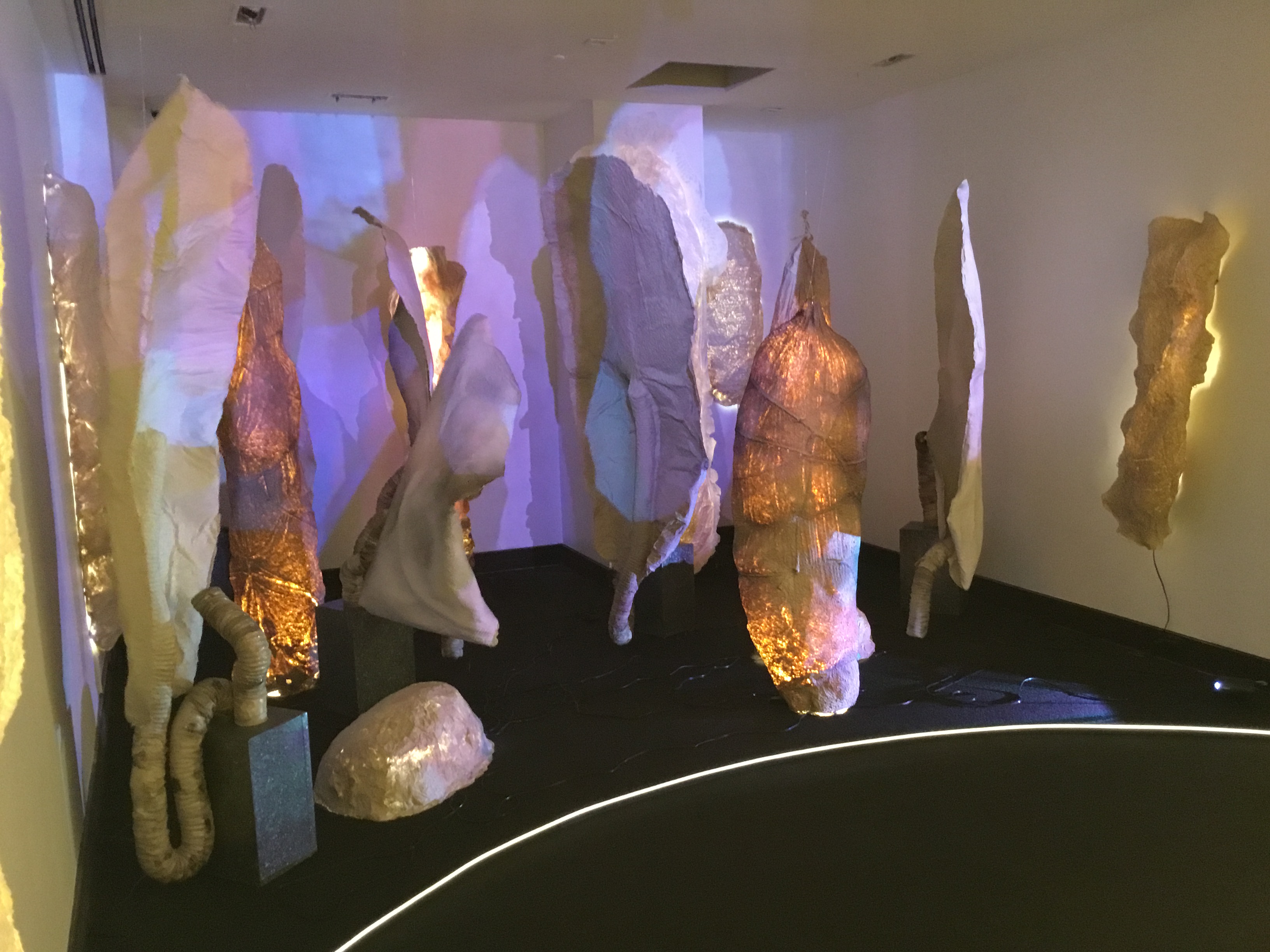 Gallery view of Sara Garden Armstrong's work, Airplayers XIX.  Several textured, palm-like forms are suspended from the ceiling and attached to the walls. Some are illuminated with warm light from behind; a blue and purple projection is overlayed on the forms.