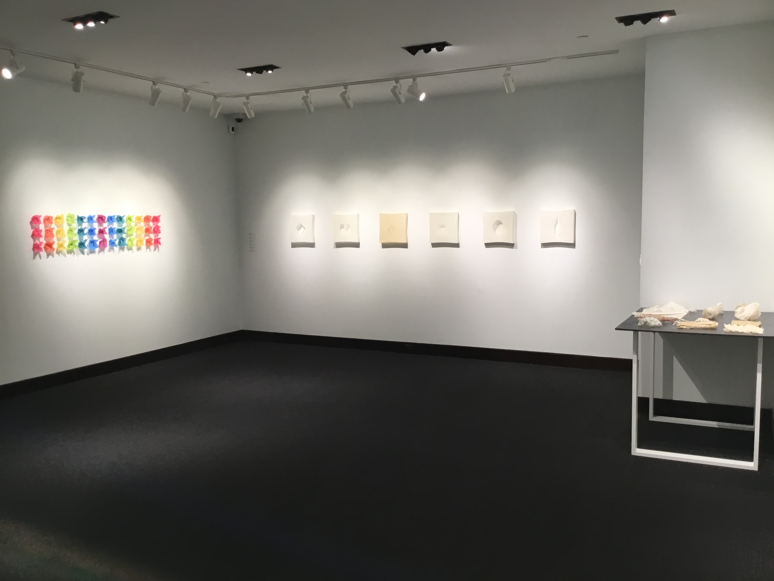 Gallery view of Helen Hiebert's work. From left to right, Same/Not Same, six paper and thread drawings, and a table displaying the Specimens series. 
