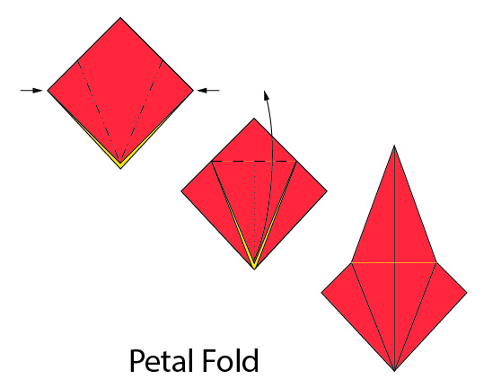 Illustration of Petal Fold