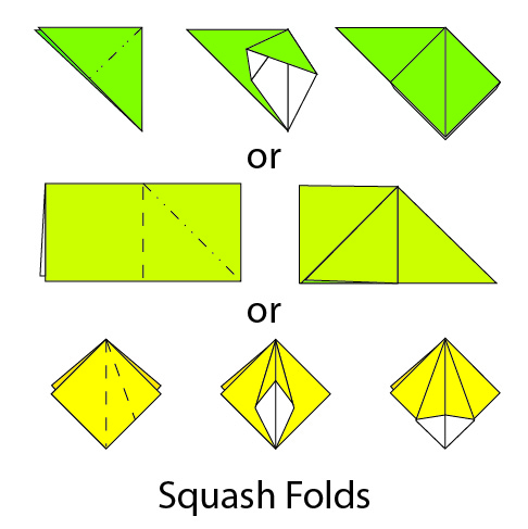 Illustration of Squash Fold