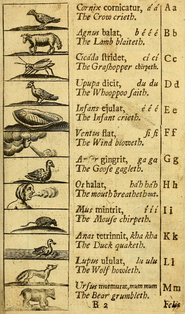 A page from Orbis Sensualium Pictus showing the A thru M illustrations for their Latin phrases and their English translations