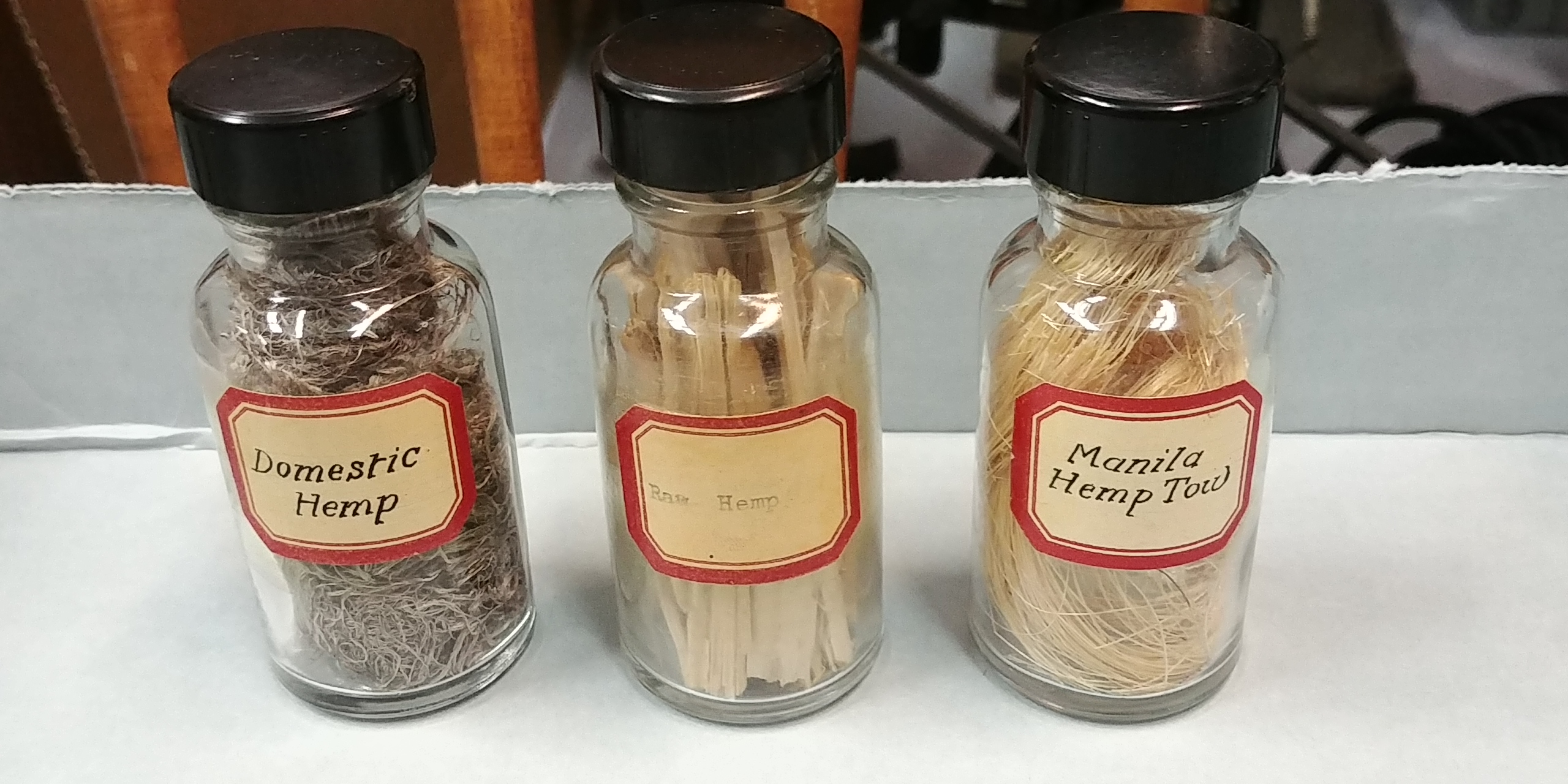 Three small glass bottles filled with dry hemp fibers used in papermaking. Each vile has a paper label and black cap. From left to right the labels read: Domestic Hemp, Raw Hemp, Manilla Hemp Tow.