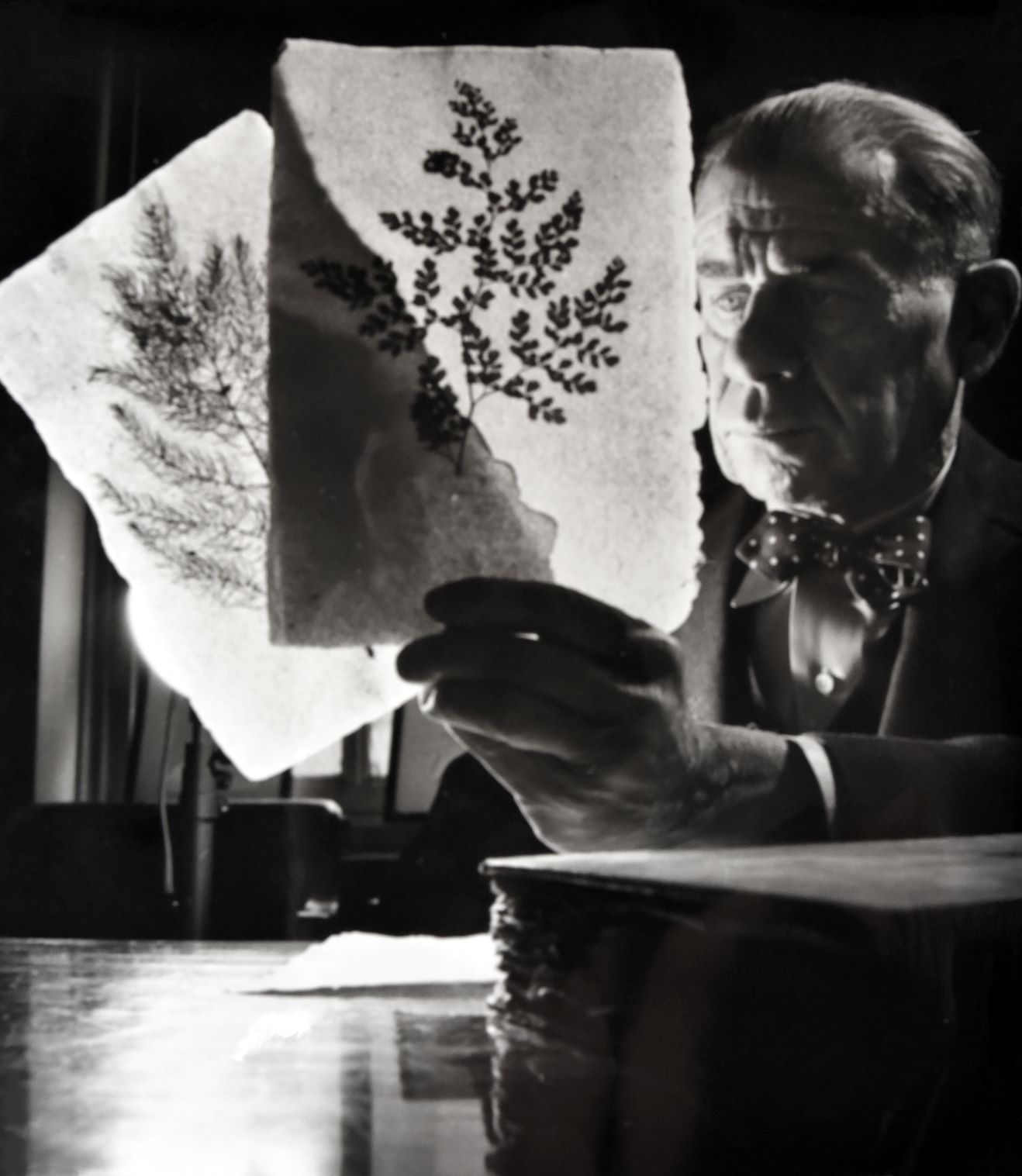 Harrison Elliott examines handmade sheet of paper.