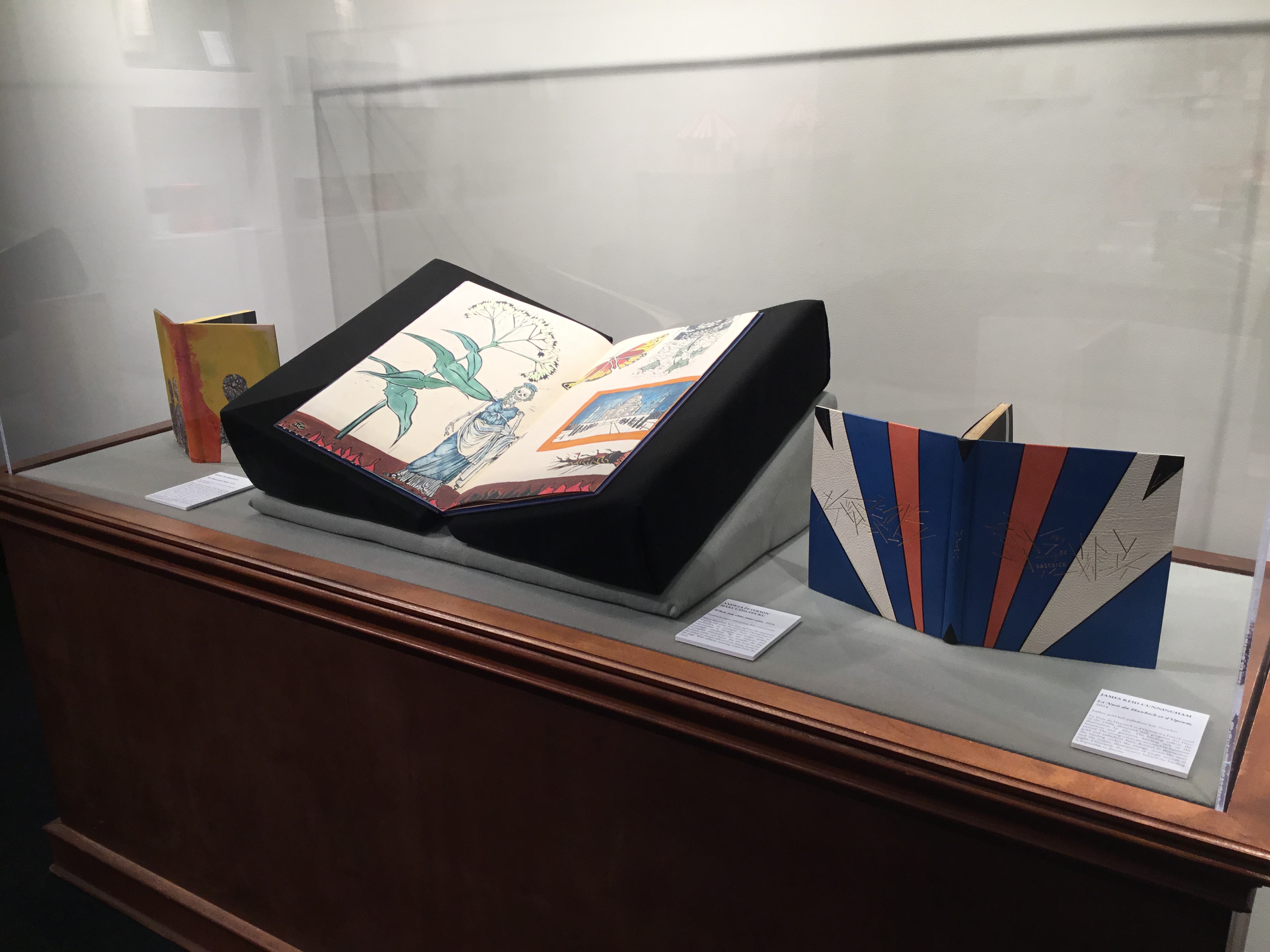 View of a display case in the back gallery. From left to right: The green, yellow and red watercolor cover of Mimi Zycherman’s The Illustrated Man. In the middle, is Andrea Peterson and Mary Uthuppuru’s When you close your eyes opened to a page displaying various prints of plants, the Taj Mahal, and a skeleton in a blue dress. On the right, is the blue, red, black, and white striped cover of James Reid-Cunningham’s La Nuit du Haschich et d'Opium. 