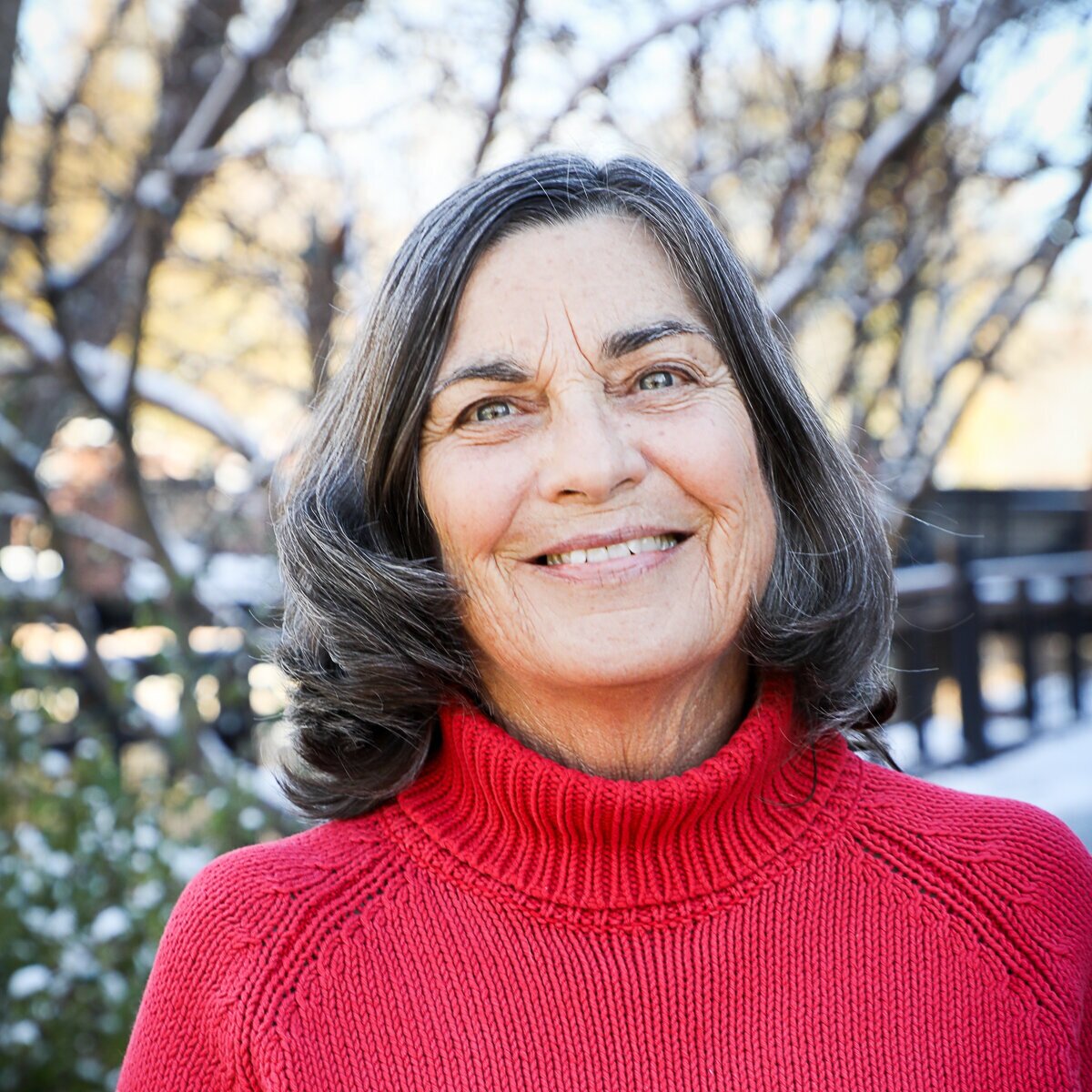 Headshot of the artist Ann Cunningham. She is a middle aged woman with salt and pepper shoulder length hair that curls under. She's wearing a knit red turtleneck and big smile as she looks directly in the camera