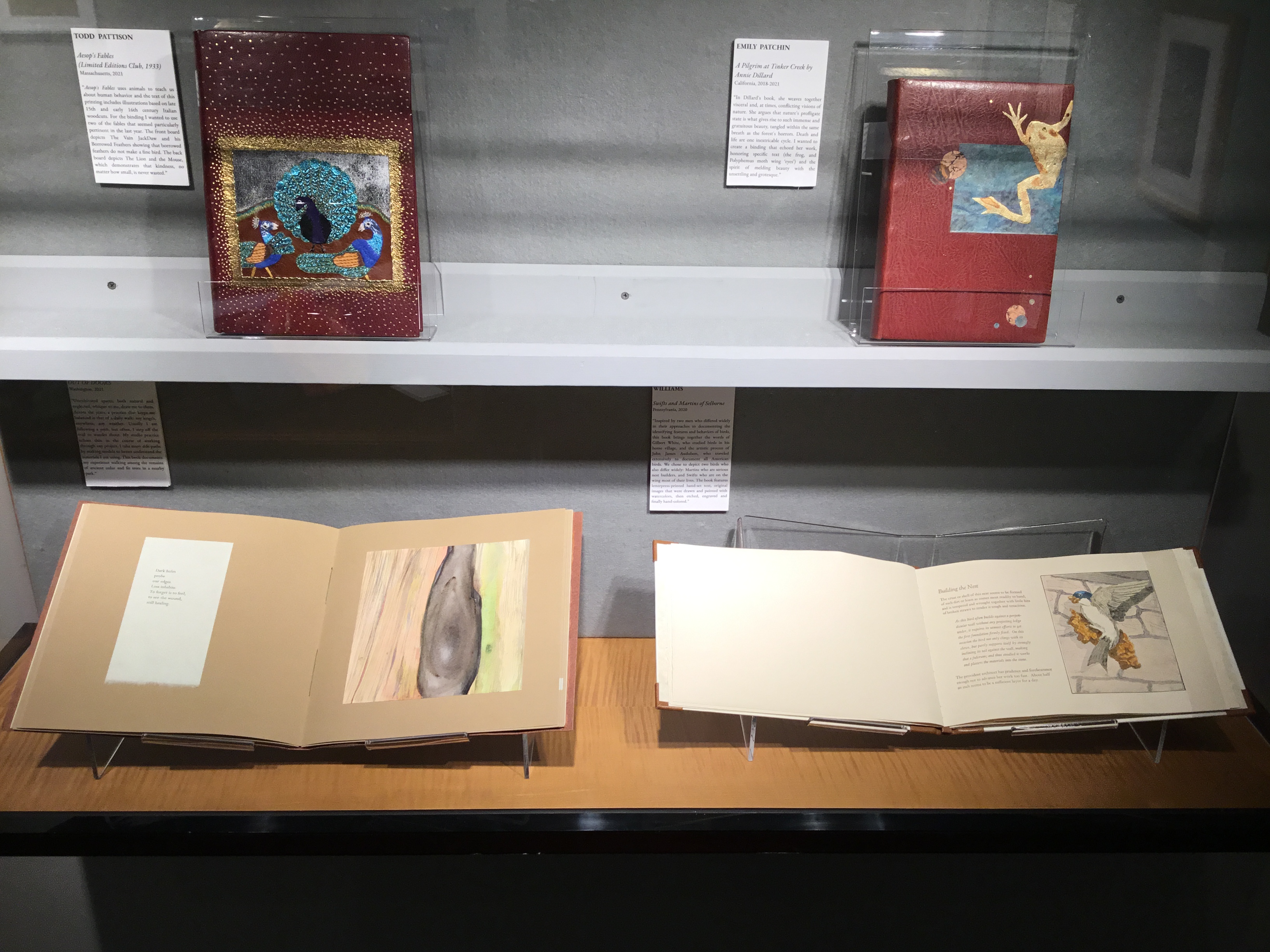 A hanging plexiglass wall case in the small gallery containing four books, two on a top shelf closed to display their ruddy front covers of collaged foil peacocks and an cut-out image of a frog, and two below open to designated pages showing text with an image of a knot in a tree and text beside an image of a bird.