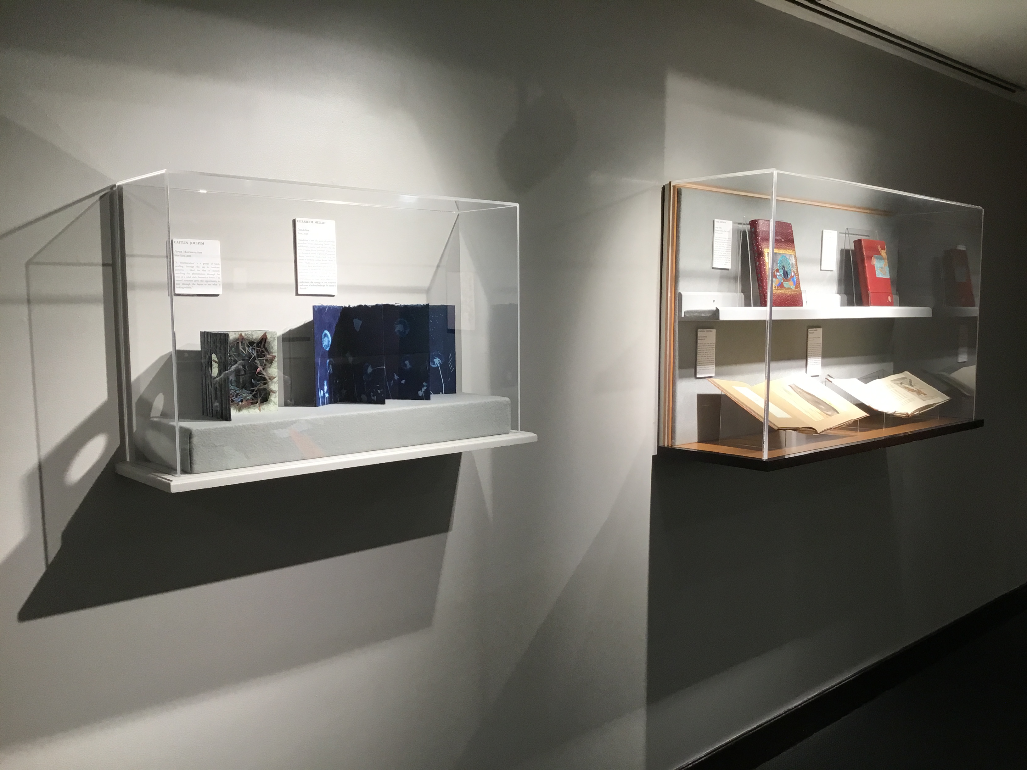 Two plexiglass wall cases in the small gallery.  The case on the left contains two items; a tunnel book with a forest motif and an accordion book with cyanotypes of dandelions.  The case on the right contains four books, two above closed to display their ruddy front covers and two below open to designated pages.