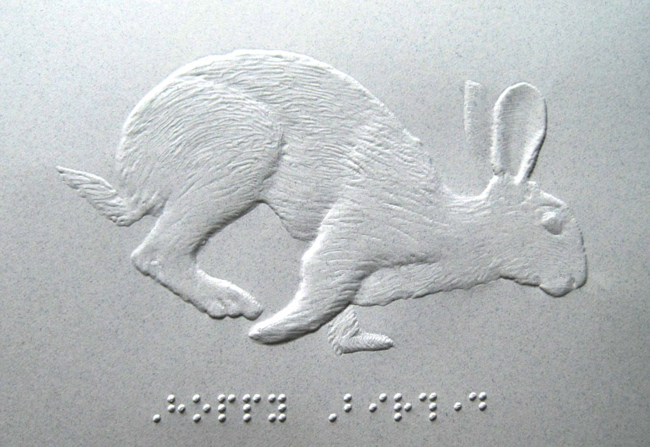 embossed paper illustrating a rabbit hopping. The image has embossed braille dots underneath it.