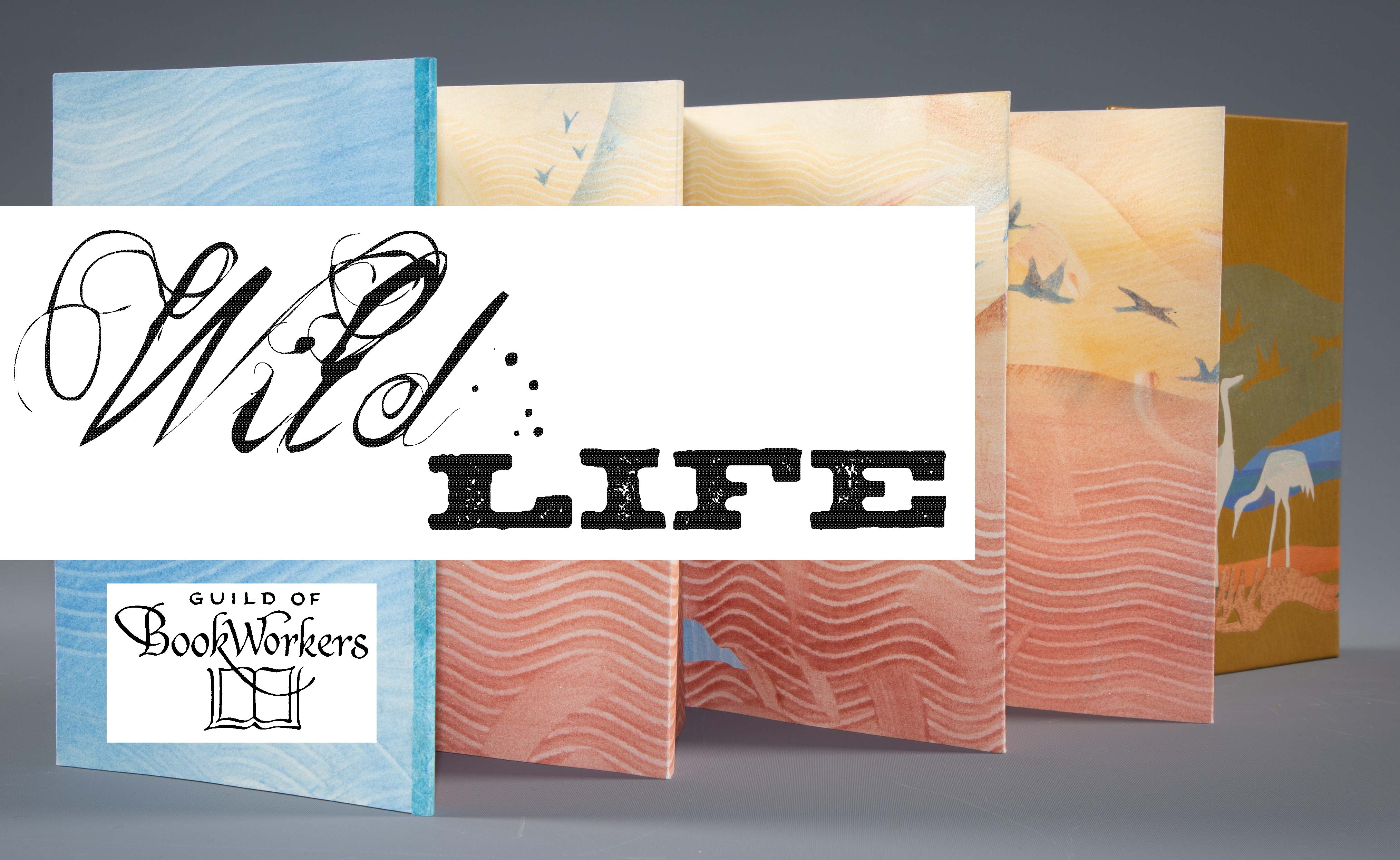 Black cursive lettering spells out WildLife on a white rectangle over an in image of an accordion book with graphics in salmon, blue, pastel yellow, and ocre colors. The book is Bosque by Priscilla Spitler