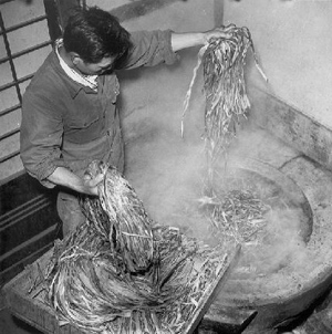 Black and white photo of man dropping handfuls of fibers into a boiling pit