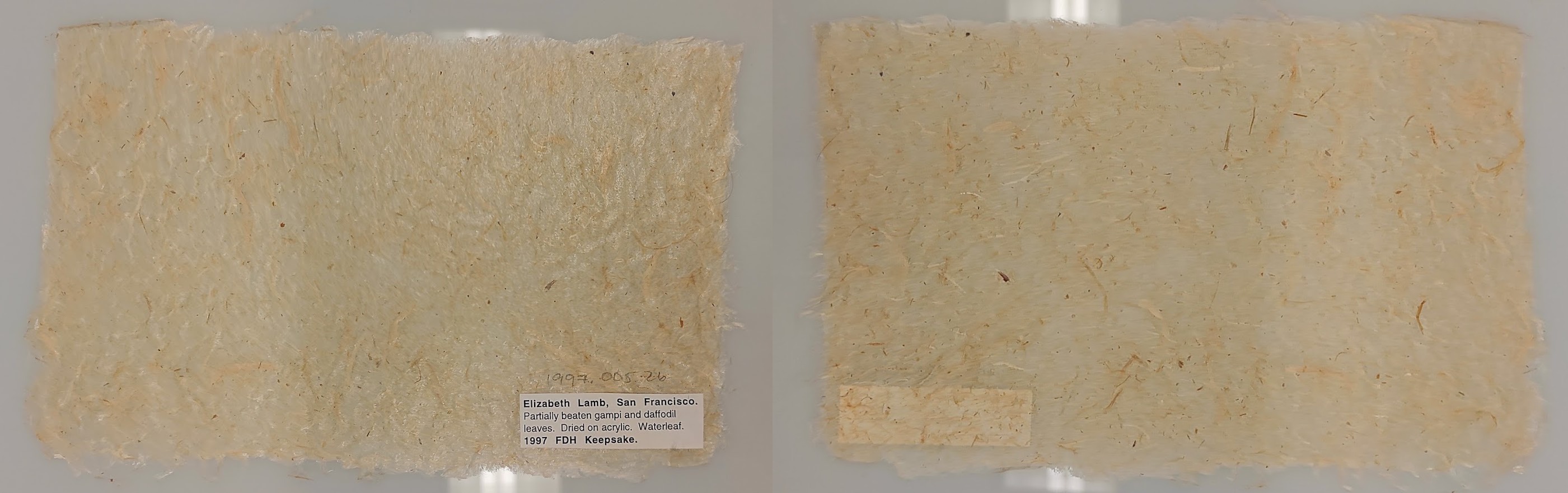 Off-white, thin, rectangular paper made of long, visible fibers. Front and back.