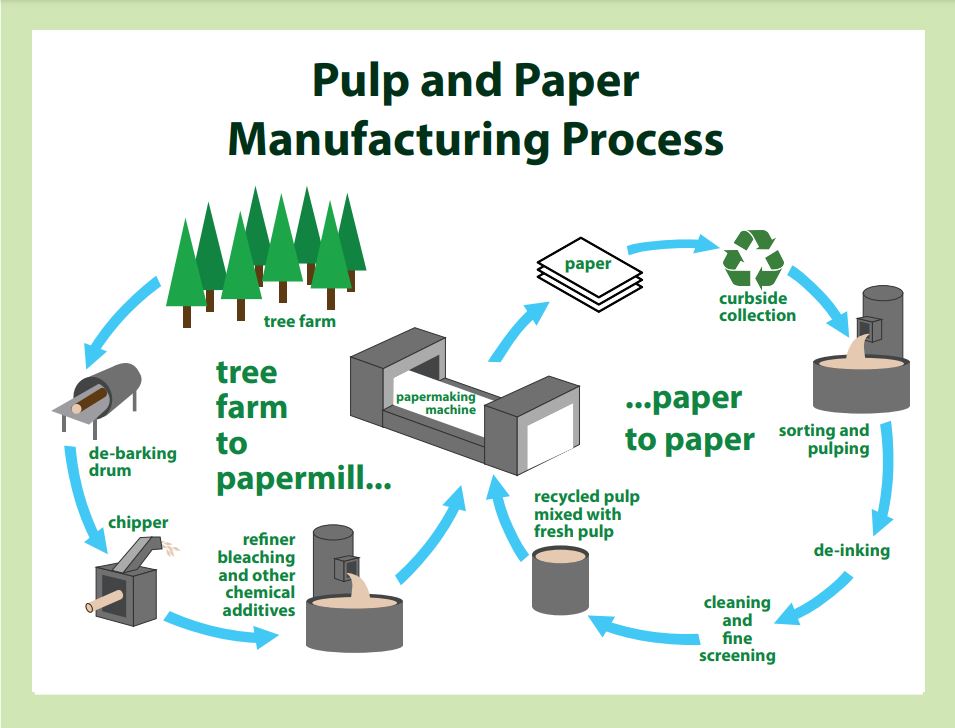 pulp manufacturing