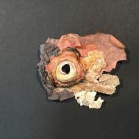 Black, red, orange, tan, and crème paper swirling around a broken shell with a whole in the center, resembling an octopus’ eye.