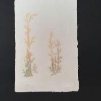 A piece of light beige handmade paper with deckled edges and three light green/tan trees printed delicately on top. The artist’s name is embossed in the bottom right.