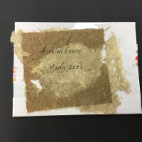 A square, beige-brown sheet of paper made from goldenrod and corn has the words “Aidelen Evans” and “March 2021” written on it. Around the sides of the paper are lighter gray-beige paper remnants. This work is part of a larger collection honoring the lives of over 45 trans and gender-nonconforming Americans who were murdered in the past year.