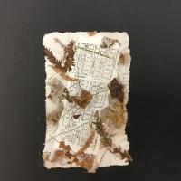 This piece, entitled “1829 Elmwood Avenue”, has a base sheet made from cotton linter and abaca. The inclusions are natural materials including dried leaves, pine straw, and dried grass. In the center is a thin, rectangular map of the artist’s neighborhood.
