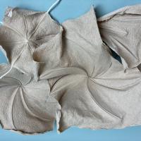 Sculptural Abaca