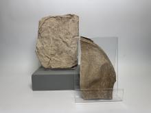 shows artifact 2019.06.216a and 2019.06.216b; experimental paper armour tests