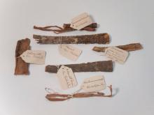 Six fiber and bark samples labelled with paper tags and string