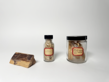 Left: Englemann Spruce sample. Middle: Jar of Kozo sample fiber. Right: Jar of Abaca sample fiber.
