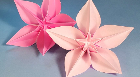 Origami Carambola