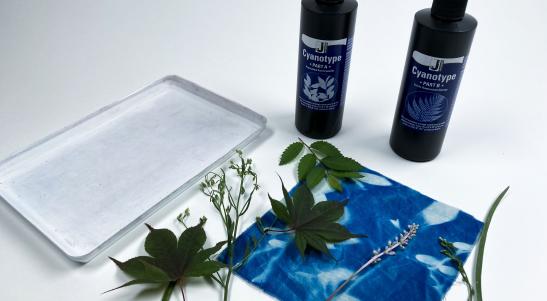White tray, plants, cyanotype paper
