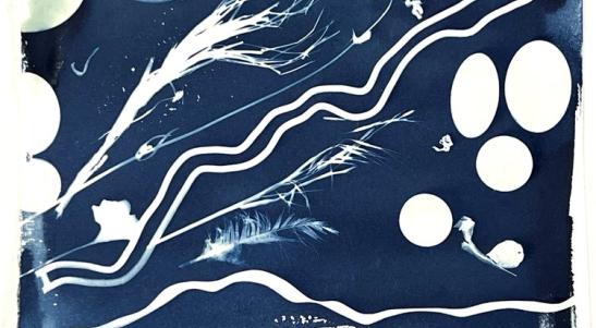 blue image with white wavy lines, ovals, and a feather