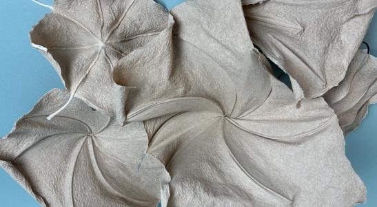 Sculptural Abaca